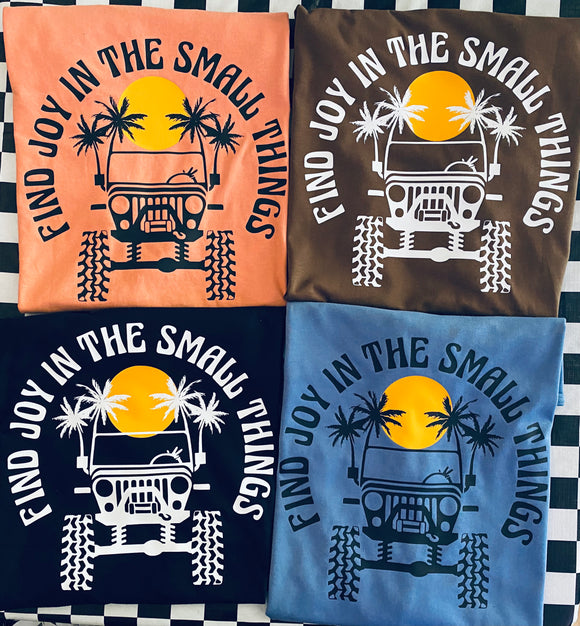 Find Joy in the Small Things (4 Colors)
